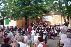 laurenzi-kirtag_2010_20100817_1909953529