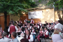 laurenzi-kirtag_2010_20100817_1974738422