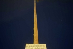 Maibaum 2024