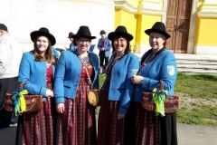 oradea_2015_20150528_1509141080