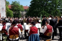 oradea_2015_20150528_1653056031