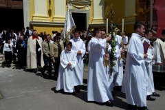 oradea_2015_20150528_1683376826